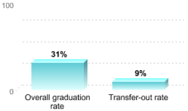 Graduation-Transfer_2024.png